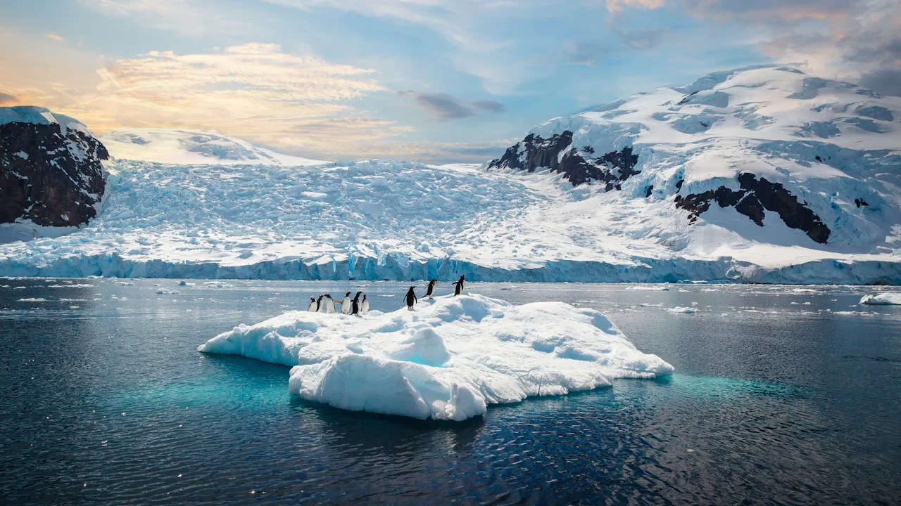 Penguins standing on an iceberg in Antarctica